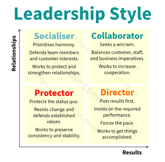 A diagram illustrating leadership style to support a page presenting our sales management assessment.