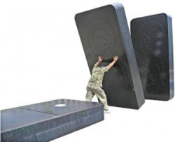 Crisis Management and Business Survival in a Falling Market